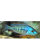 MA-Placidochromis sp. (Phenochilus "Tanzania") / Protomelas spilonotus "Tanzania" (Hybride)