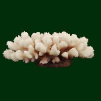 Steinkoralle, 21 x 15 x 8 cm, LPS Acropora Korallen Nachbildung