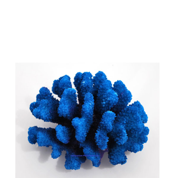 Steinkoralle, 12 x 11 x 7 cm, SPS (Pocillopora), Nachbildung blau