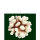Steinkoralle, 10 x 10 x 8 cm, SPS (Stylophora), Korallen Nachbildung natur