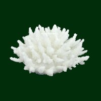 Steinkoralle, 13 x 13 x 8 cm, SPS, Acropora Korallen Nachbildung weiß