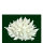 Steinkoralle, 13 x 13 x 8 cm, SPS, Acropora Korallen Nachbildung weiß