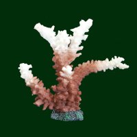 Steinkorallen, 23 x 7 x 21 cm, (Acropora) Geweihkoralle, Nachbildung natur