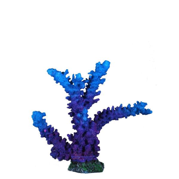 Steinkorallen, 23 x 7 x 21 cm, (Acropora) Geweihkoralle, Nachbildung blau