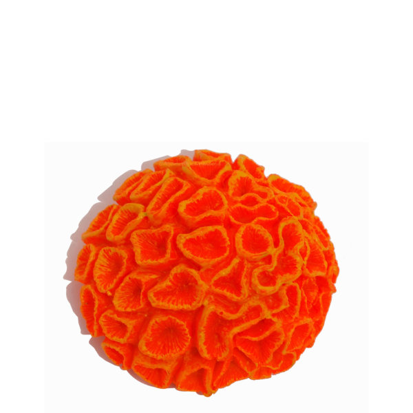 Nano Steinkoralle, 5 x 5 x 2 cm, LPS, Hirnkoralle (Favites), Nachbildung neon orange