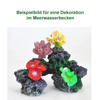 Nano Pilzlederkoralle, 6 x 4 x 2,5 cm, Mushrooms, Nachbildung grün