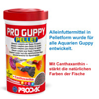 PRO GUPPY PELLET - für alle Guppy, 250 ml / 125 g