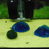 Aquarium/Terrarium Kies gelb, 2-3 mm, 3 Liter 4,5 Kg Beutel