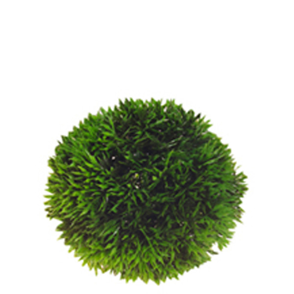 Hobby Plant Ball, 9 cm