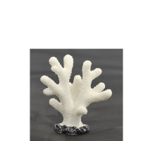 Nano Koralle, 5 x 3 x 5,5 cm, Nachbildung weiß