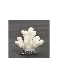 Nano Koralle, 5 x 2,5 x 4,5 cm, Nachbildung weiß