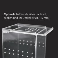 Acrylglas Box/ Terra, 7,5 x7,5 x20 cm, mit Schiebe Deckel
