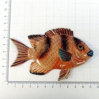 Fischmagnet - Marc - 110 x 75 x 15 mm