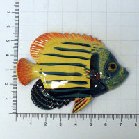 Fischmagnet - Mara - 75 x 55 x 1 mm