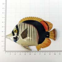 Fischmagnet - Ben - 105 x 70 x 10 mm