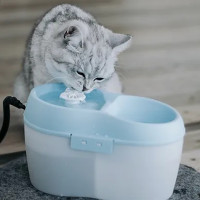 2L Trinkbrunnen mit Filter für Katzen/ kleine Hunde, inkl. Zahnpflege, CatH2O, DogH2O